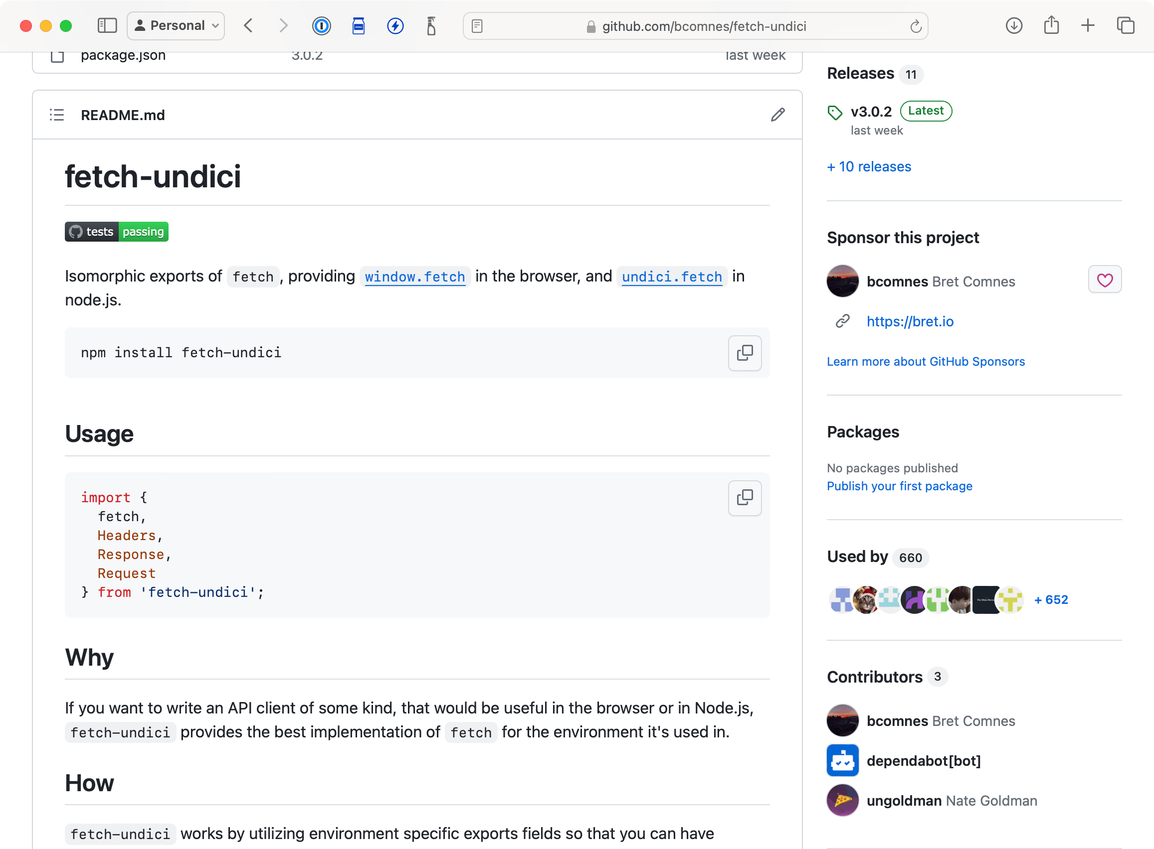 Screenshot of fetch-undici